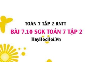 Bài 7.10 SGK Toán 7 tập 2 Kết nối tri thức